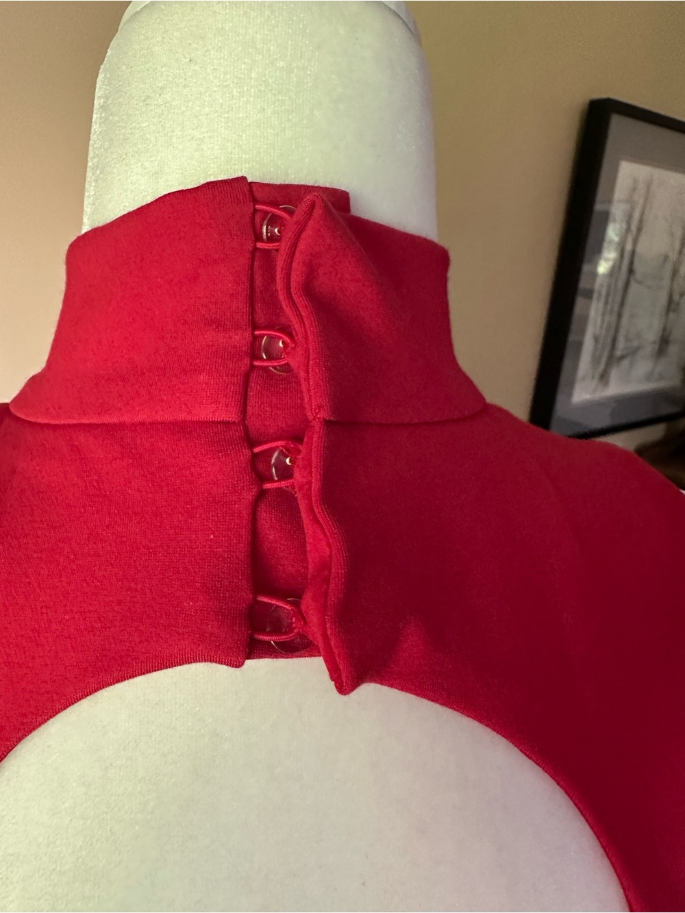 NWT Anthropologie Hutch Red Mock Neck Open Back Cutout Fit & Flare Mini Dress S - Picture 6 of 12